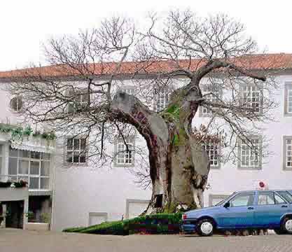 �N���b�N����ƌ��̃y�[�W�֖߂�܂�