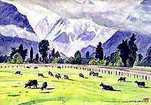 �hFox Glaicier���h